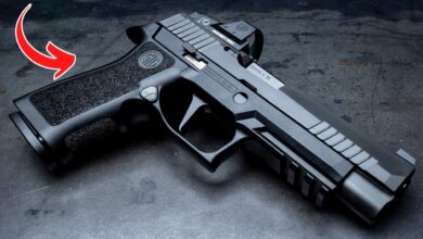 5 Best CCW From Sig Sauer In 2024 – 4 Are Not P365s!