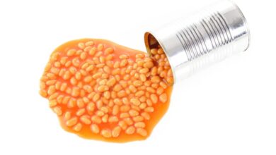 Beans, Beans Good for your Heart, Definitely Not the Head