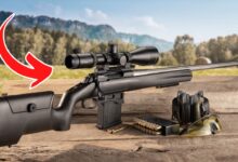 5 Best-Priced Hunting Rifles With Awesome Accuracy [2024]