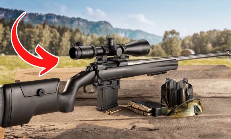 5 Best-Priced Hunting Rifles With Awesome Accuracy [2024]