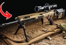 TOP 5 Sniper Rifles You Didn't Know You Wanted