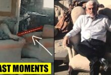 Israeli Drone Shows Hamas Leaders Final Moments As He Throws Stick At Drone Before Being Hit By Tank