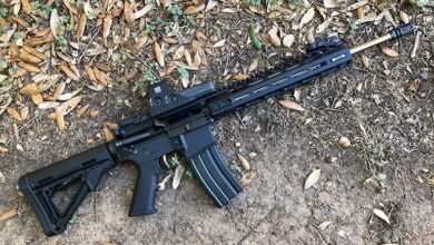 Washington Court Says AR-Style Rifles Not Protected Under Second Amendment