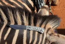 The Whitetail Forge Knife Goes to Africa