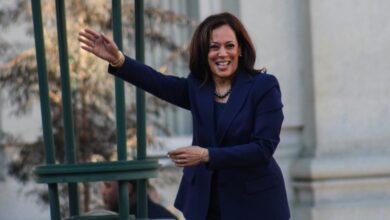 Kamala Gets Desperate, Abandons Her “Campaign of Joy,” Goes All Out on Nazi Propaganda