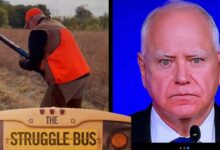 Watch: Tim Walz’s Shotgun Fumble During Pheasant Hunt – Does This Inspire Confidence?