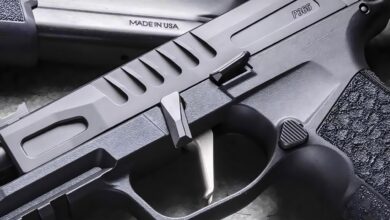 5 New SIG Sauer Guns You Can't Miss In 2025!