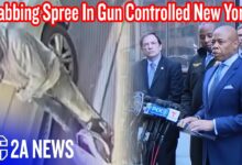 Mass Stabbing In Gun Controlled New York Proves The Government Can't Keep You Safe