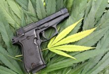 Pennsylvania District Attorney Suing To Allow Medical Marijuana Users Firearms Access