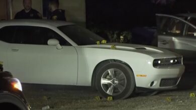 San Antonio Man Shoots Driver Allegedly Attempting to Run Over Multiple People in Self-Defense Incident