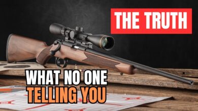 22 LR Rifles: What You Need To Know Before Buying One