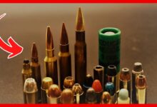 Top 5 Deadliest Calibers in the U.S. – #1 Will Leave You Speechless!