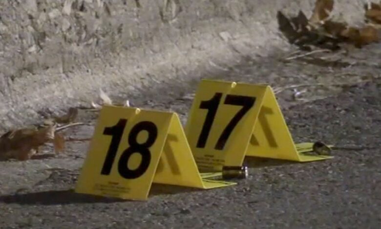 Bystander Injured in Shootout Between Burglary Suspects and Concealed Carry Holder on Chicago’s South Side Bystander Injured in Shootout Between Burglary Suspects and Concealed Carry Holder on Chicago’s South Side