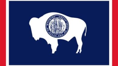 8 Wyoming Reps Seek To Gut 2A Protection Law