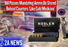 Bill Passes Mandating Ammo Be Stored Behind Counters 'Like Cold Medicine’