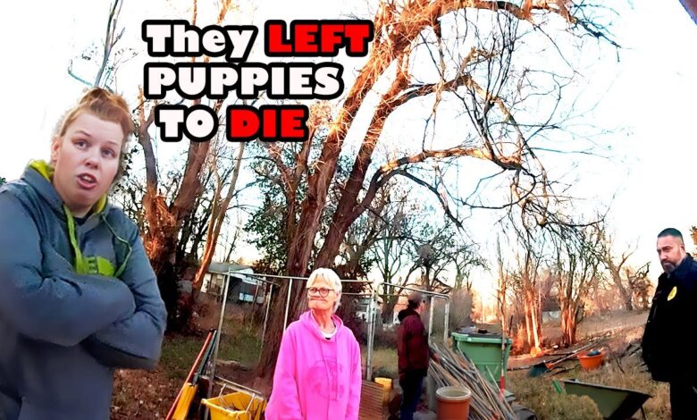 Cops Discover Puppies Freezing to Death in Neighbor's Cage