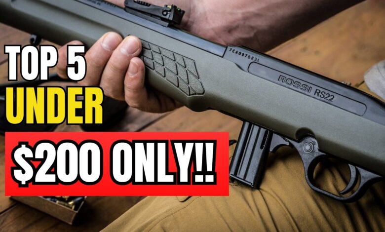 5 Best Affordable Guns Under 0 You Should Get Right Now!