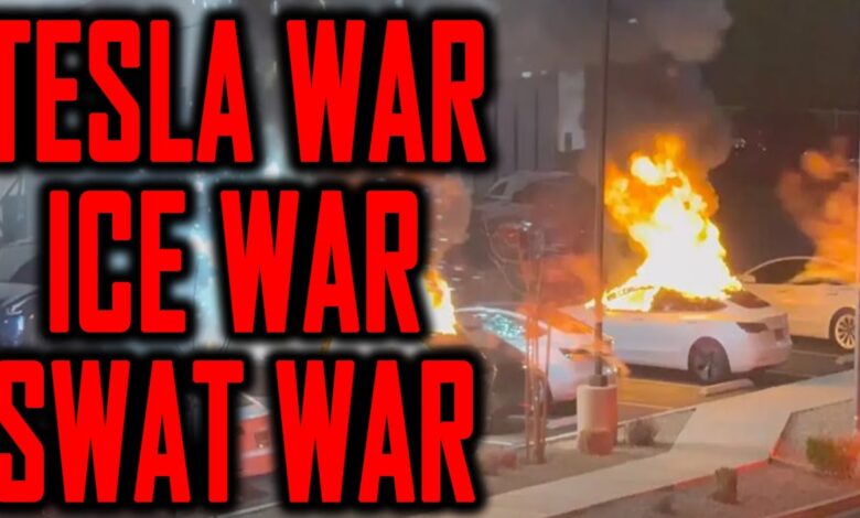 Tesla Illegal Swatting War Begins! (WTFO)