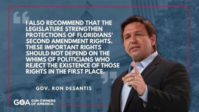 DeSantis Set To Repeal Parkland Gun Control Measures