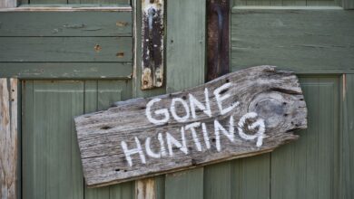 Hunting & Shooting Approval Drops: New Study