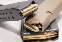 Dems Pushing Federal Mag Capacity Bill