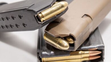 Dems Pushing Federal Mag Capacity Bill