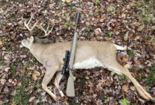 Why I’ll Never Hunt Without a Suppressor