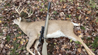 Why I’ll Never Hunt Without a Suppressor