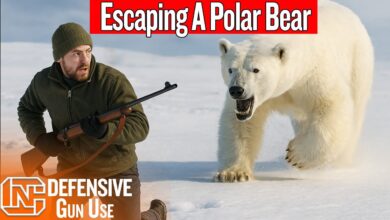 He Dropped His Rifle Running From A Charging Polar Bear