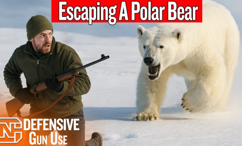 He Dropped His Rifle Running From A Charging Polar Bear