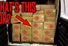 What're the Narco Syndicates Preparing For? You Should Consider This…