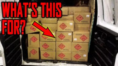 What're the Narco Syndicates Preparing For? You Should Consider This…