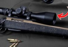 6 Must Have RIFLES Selling Fast in the U.S.!