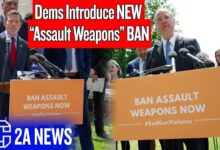 New 2025 Assault Weapons Ban Introduced By Democrats