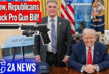 Wow, Republicans Are Blocking A Pro Gun Bill!