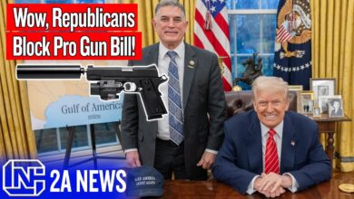 Wow, Republicans Are Blocking A Pro Gun Bill!