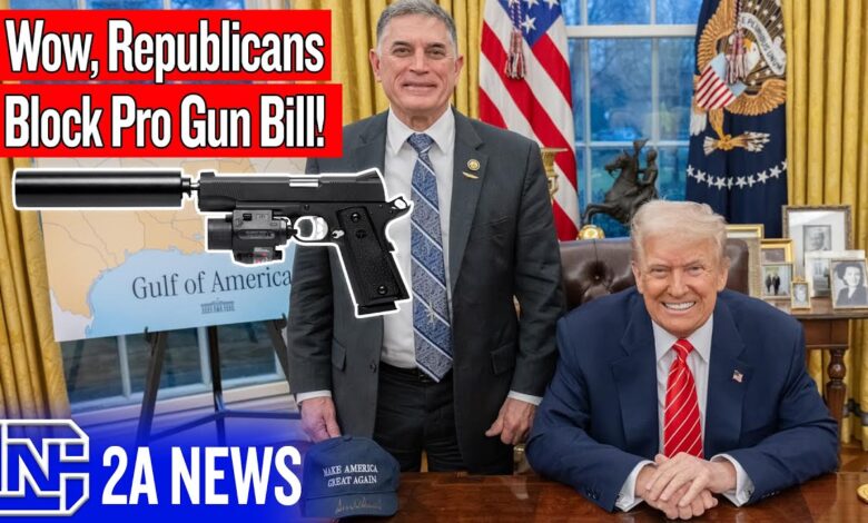 Wow, Republicans Are Blocking A Pro Gun Bill!
