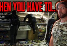 You Won't Survive Unless You Can Do This (Have You Ever Committed a Crime?)