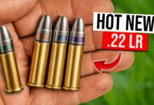 TOP 10  New .22 LR Rounds JUST Announced for 2025… #1 Will Blow Your Mind!