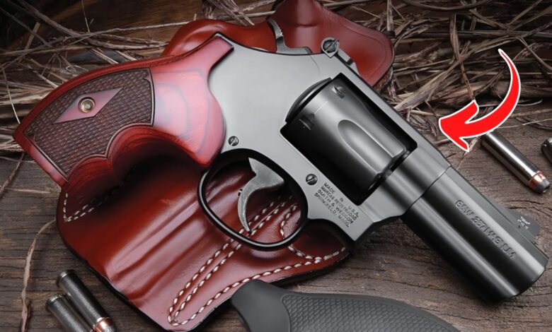TOP 6 Fastest Selling Revolvers in The US in 2025!