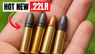 TOP 5 New .22 LR Rounds JUST Announced for 2025… #1 Will Blow Your Mind!
