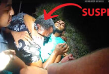 Florida Man Rams Car Into Crowd Before Armed Bystanders Shoot and Detain Him