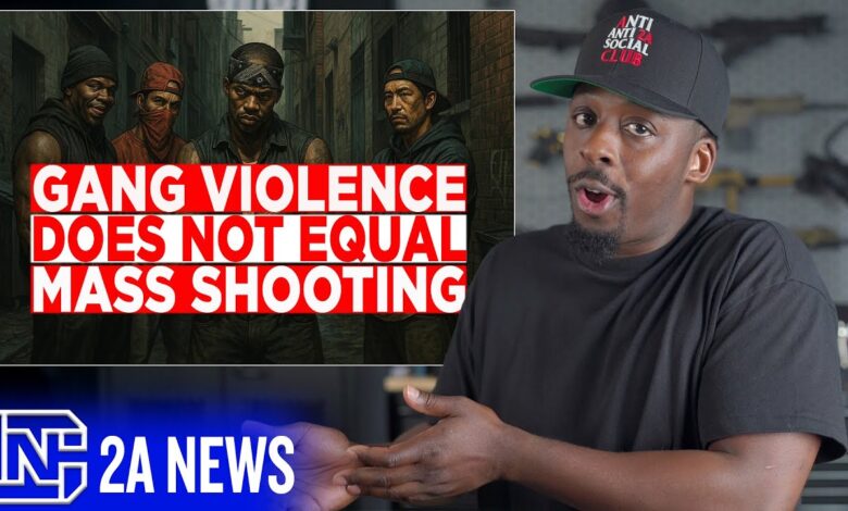 Mass Shootings or Gang Violence? The Lie That’s Fueling Gun Control
