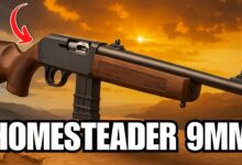 Henry's Homesteader 9mm Semi-Auto Carbine: Review