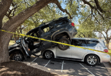 Three Killed in Austin Target Shooting, Suspect Arrested After Carjacking and Police Chase