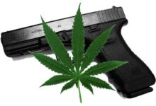 11th Circuit Rules Medical Marijuana Users Can Own Guns
