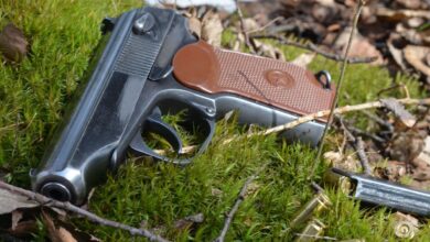 Child Discovers Firearm at Playground, Owner Now Facing Charges