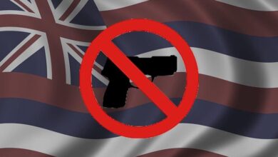 Hawaii Gun Laws Face Major 9th Circuit Showdown