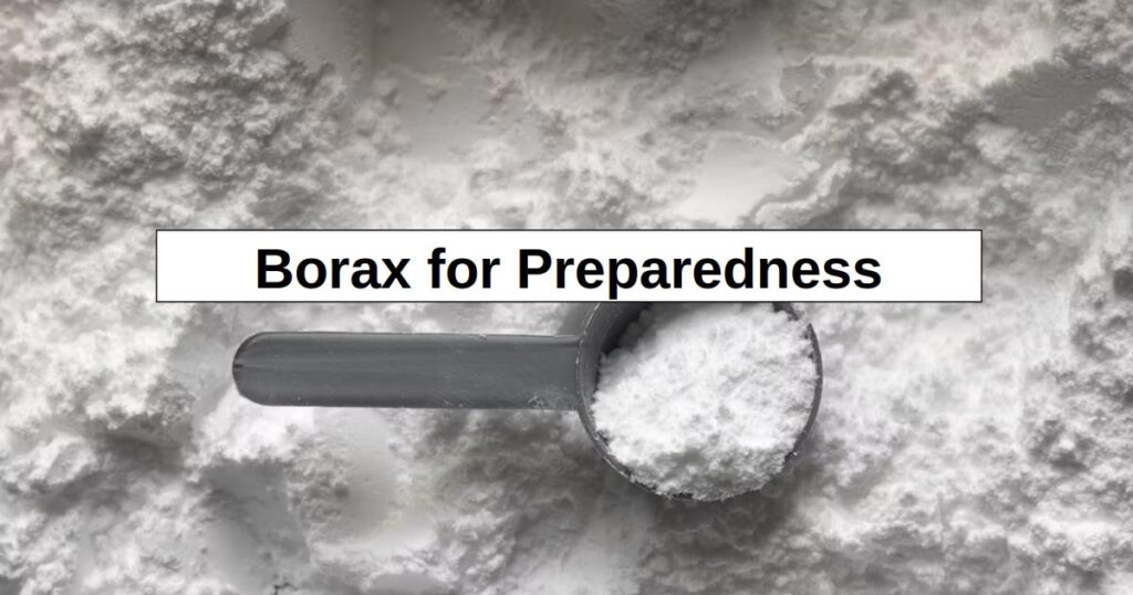 Borax for Prepping (16 Uses) Borax for Prepping (16 Uses)