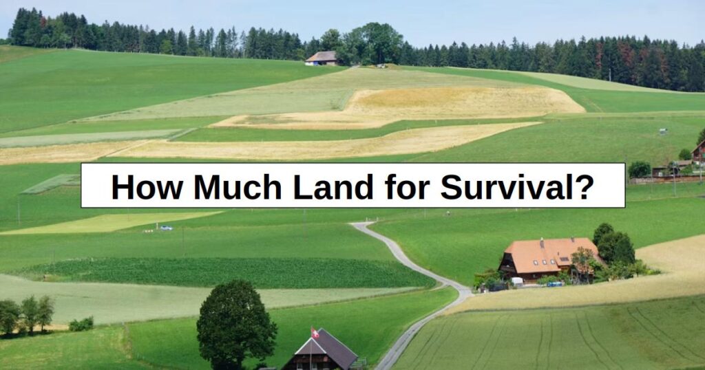 How Much Land for Survival? (My Answer Surprised Me) How Much Land for Survival? (My Answer Surprised Me)
